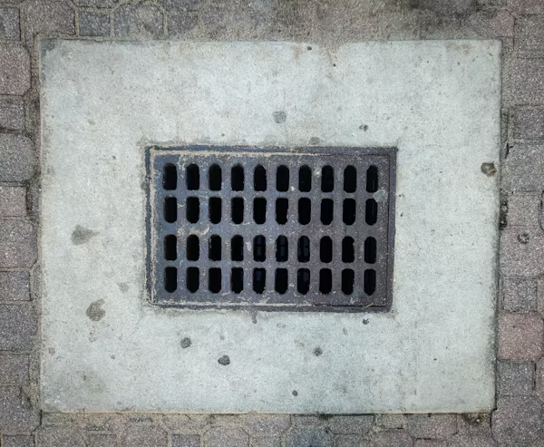 How a Plumber Can Help You Maintain a Safe and Efficient Home