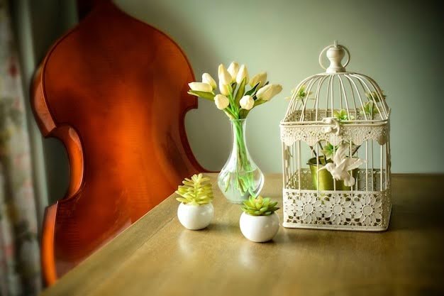 Minimalist Everyday Decor Ideas for a Clean and Modern Home