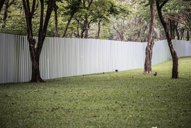 Tips for Cleaning and Caring for Your PVC Fence